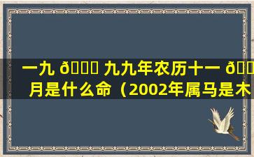 一九 🐟 九九年农历十一 🐟 月是什么命（2002年属马是木命还是水命）